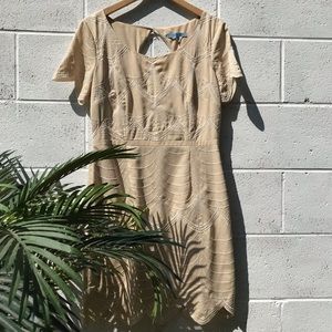 Antonio Melani Scalloped Embroidered Dress